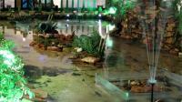 picture2 at city center, largest shopping mall in the world picture2 at city center, largest shopping mall in the world